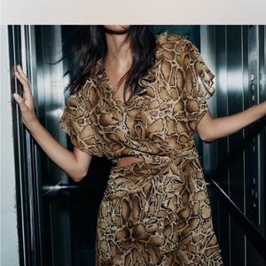Zara Brown Snake Print Dress